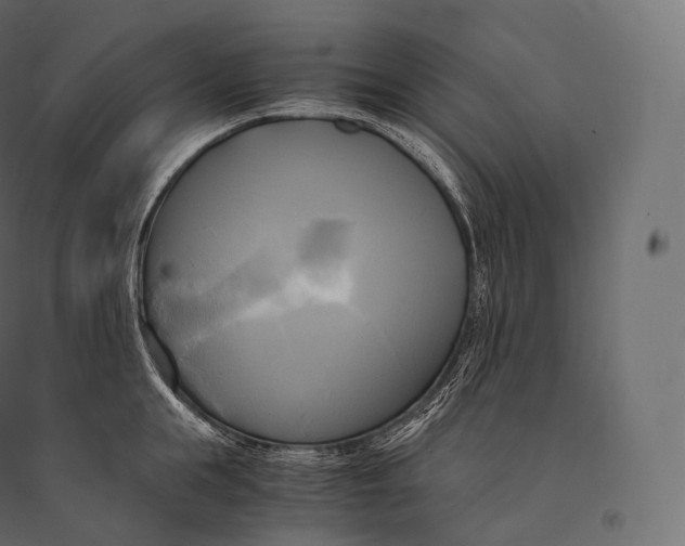 X0000094370855200711241958