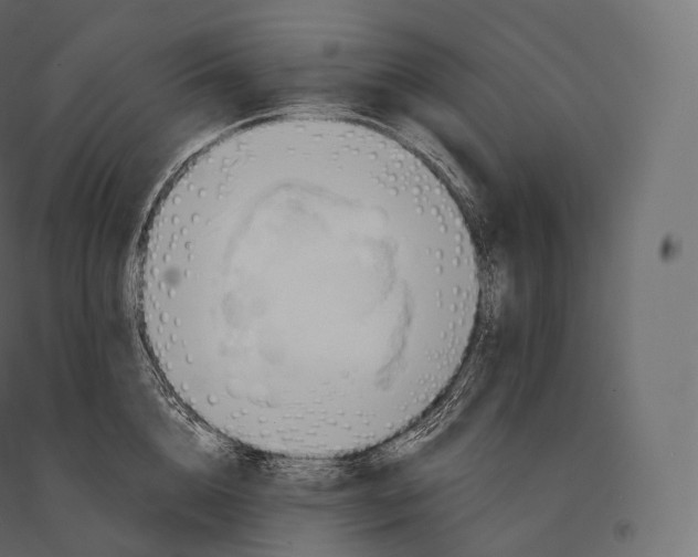 X0000094370856200711241958