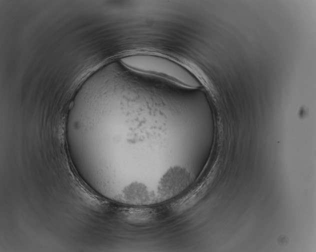 X0000094370857200711241958