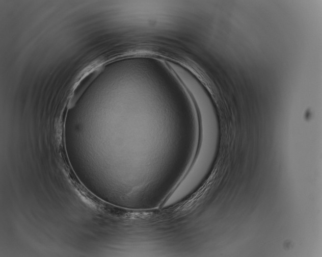 X0000094370858200711241958