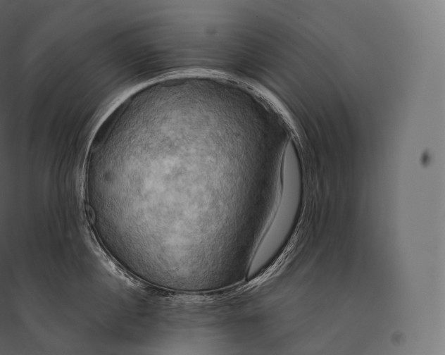 X0000094370860200711241958