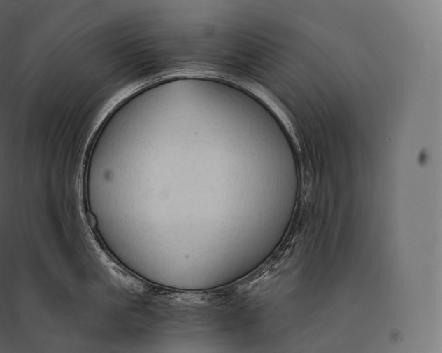 X0000094370861200711241958