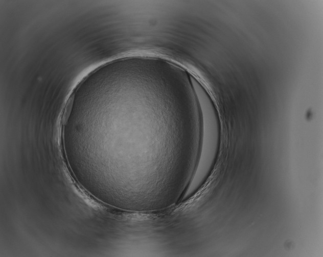 X0000094370862200711241958