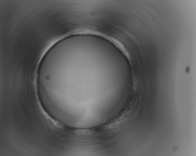 X0000094370863200711241958