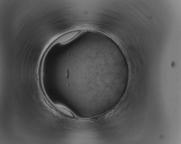 X0000094370864200711241958