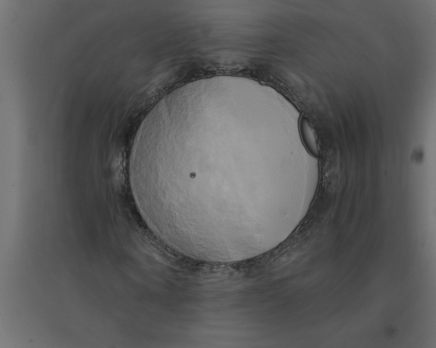 X0000094370866200711241957