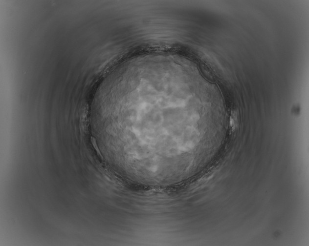 X0000094370867200711241957