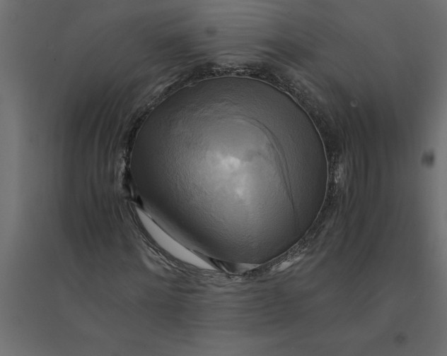 X0000094370868200711241957