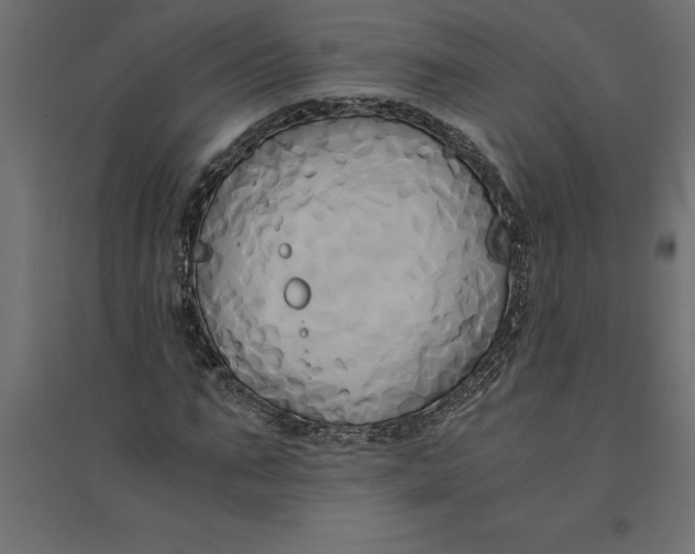 X0000094370871200711241957