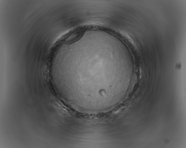 X0000094370872200711241957