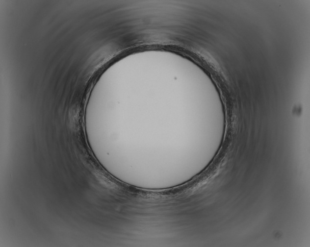 X0000094370873200711241957