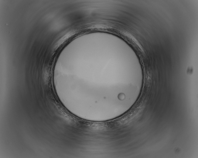 X0000094370874200711241957