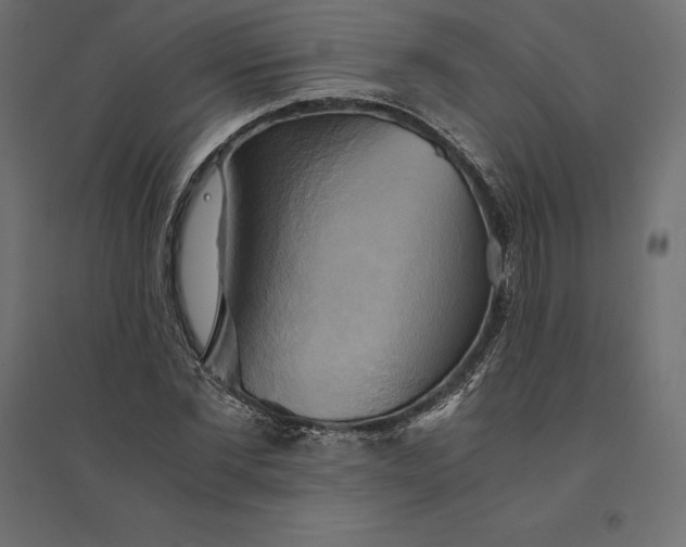 X0000094370877200711241957