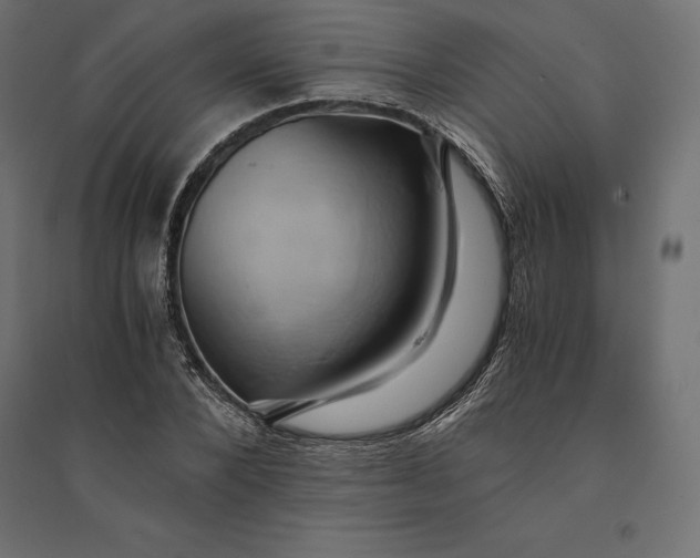 X0000094370880200711241957