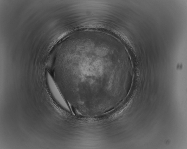 X0000094370881200711241957