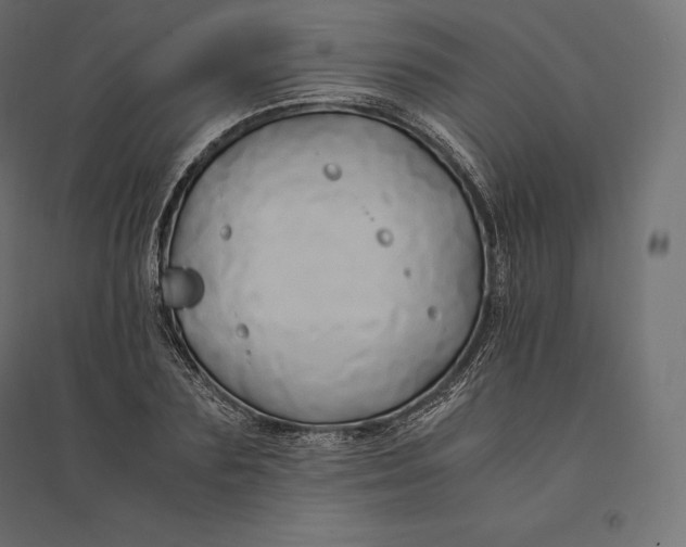 X0000094370883200711241957