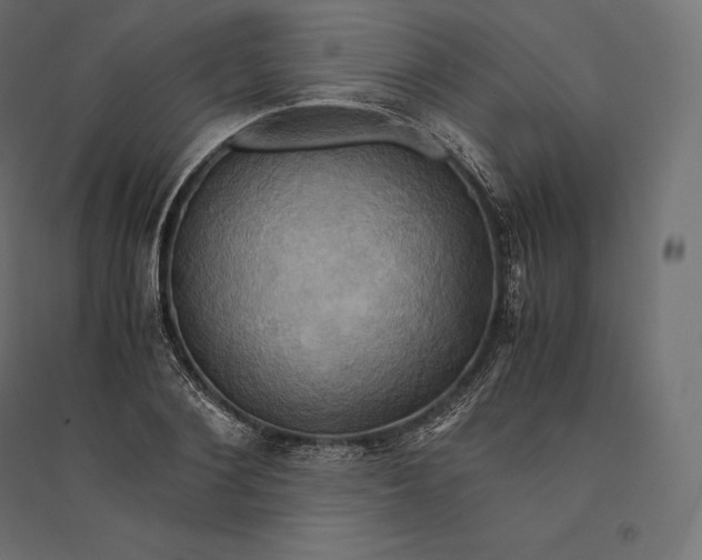 X0000094370884200711241957