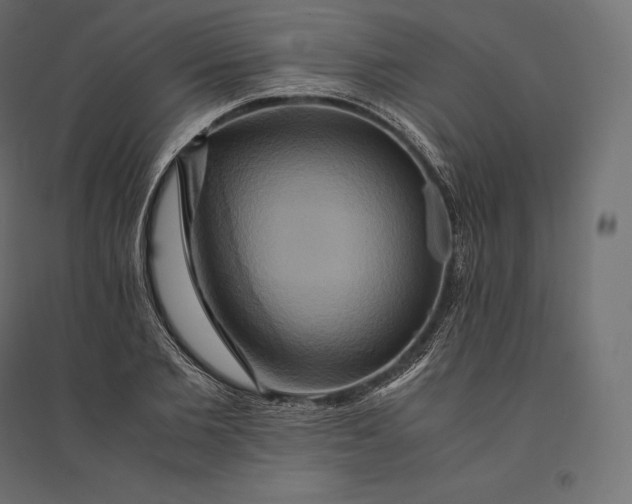 X0000094370885200711241957