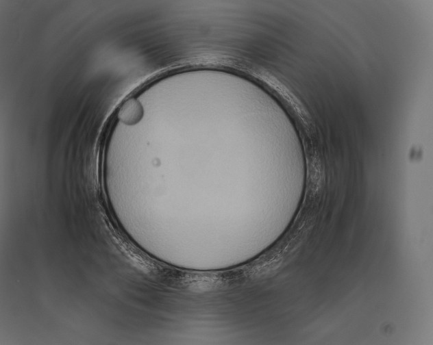 X0000094370886200711241957