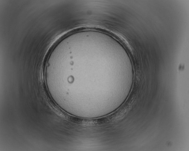 X0000094370887200711241957