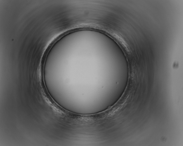 X0000094370888200711241957