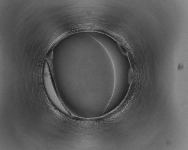 X0000094370889200711241957