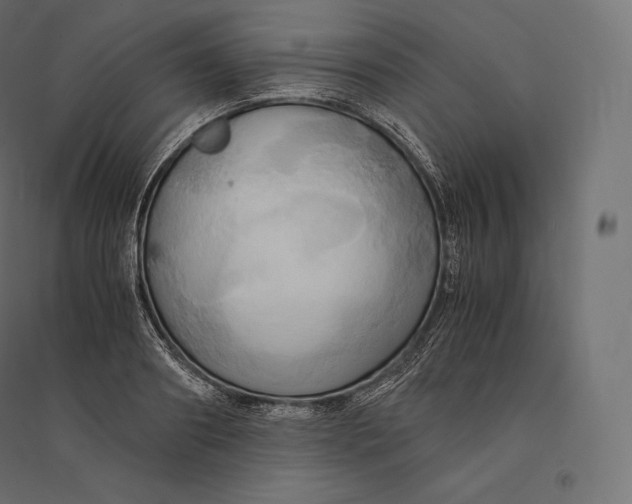 X0000094370890200711241957