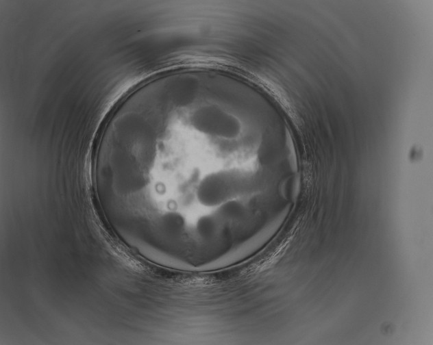 X0000094370891200711241957