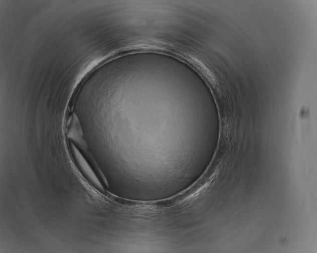 X0000094370893200711241957