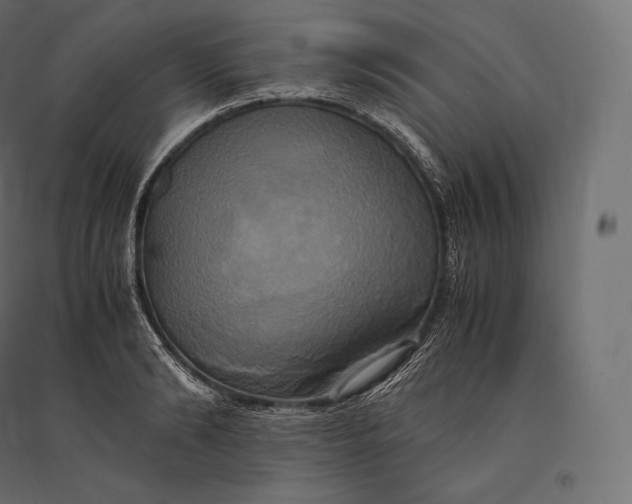 X0000094370894200711241957