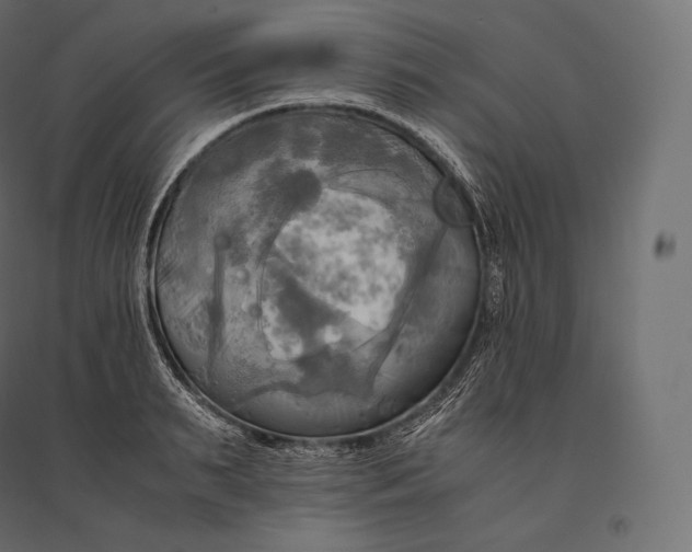 X0000094370895200711241957