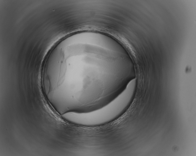 X0000094370896200711241957