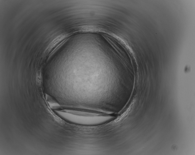 X0000094370897200711241957