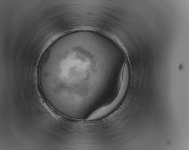 X0000094370898200711241957