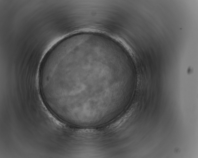 X0000094370902200711241957