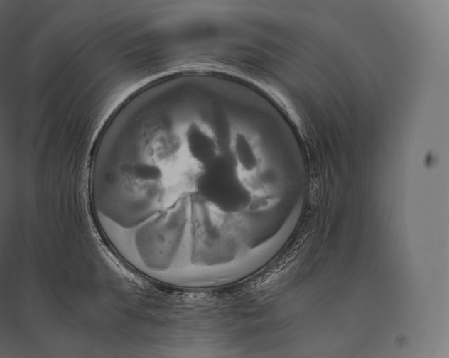 X0000094370903200711241957