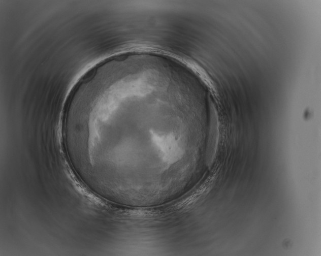 X0000094370904200711241957