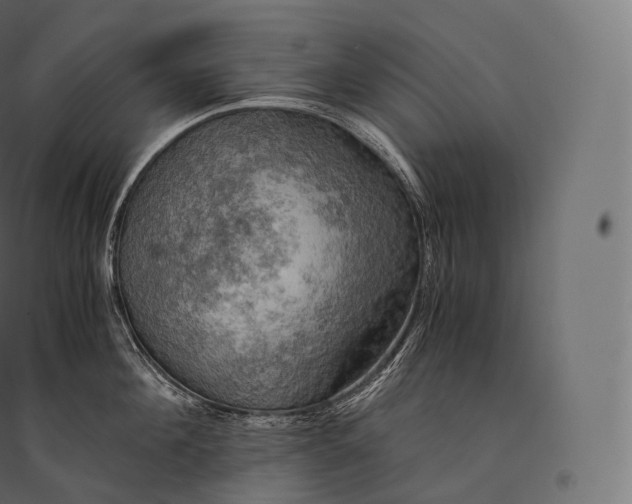 X0000094370908200711241957