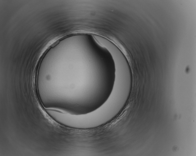 X0000094370909200711241957