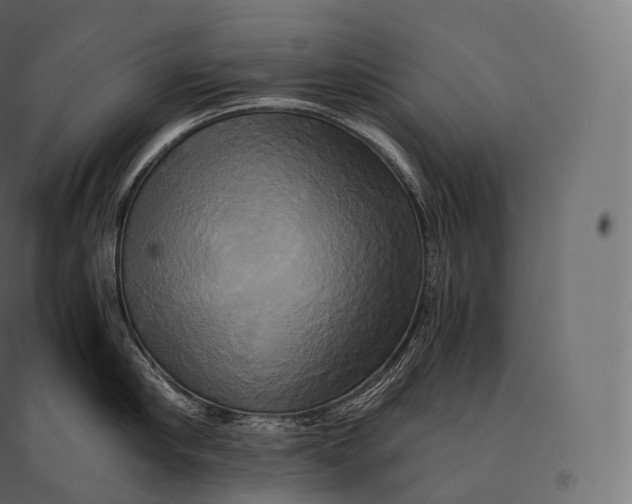 X0000094370910200711241957