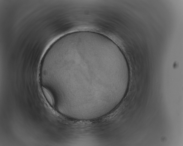 X0000094370912200711241957