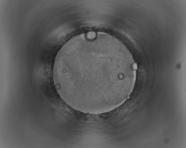 X0000094370918200711241956