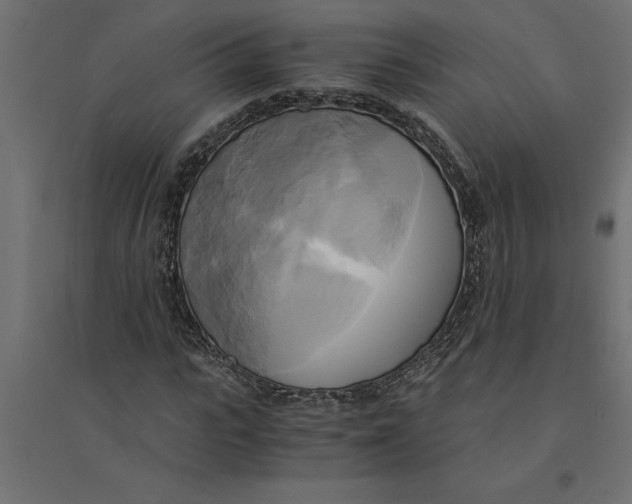 X0000094370919200711241956