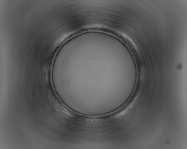 X0000094370921200711241956