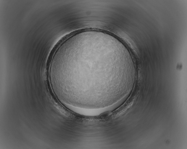 X0000094370924200711241956