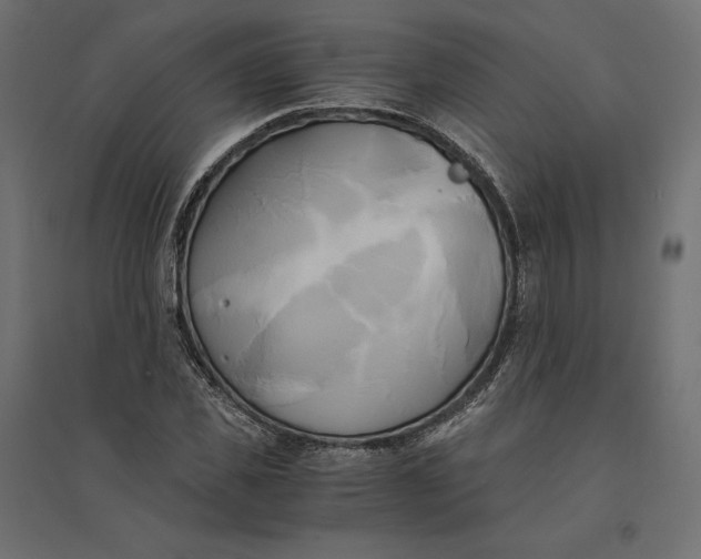 X0000094370925200711241956