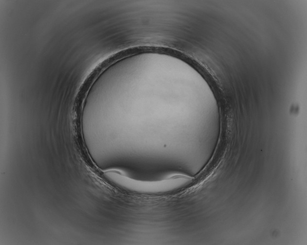 X0000094370926200711241956