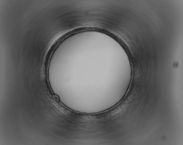 X0000094370927200711241956