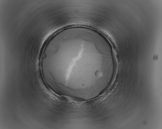 X0000094370928200711241956