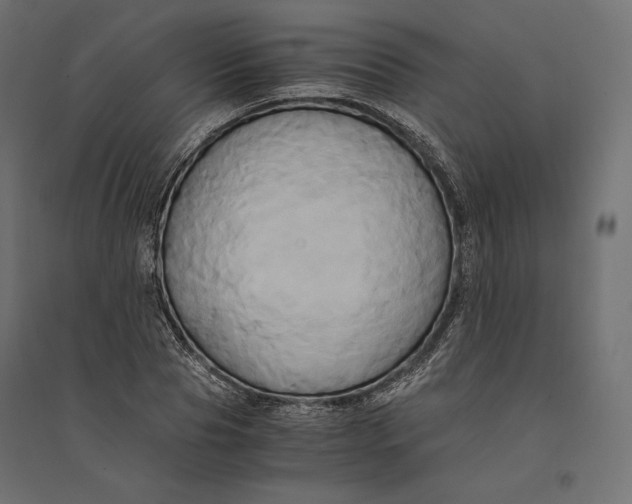 X0000094370929200711241956